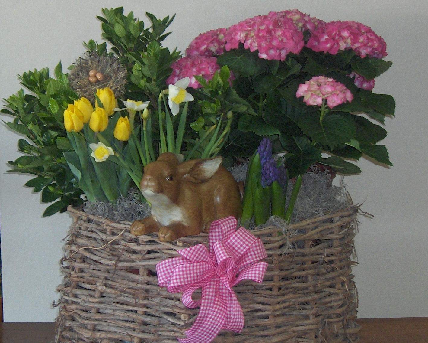 Crivitz Floral