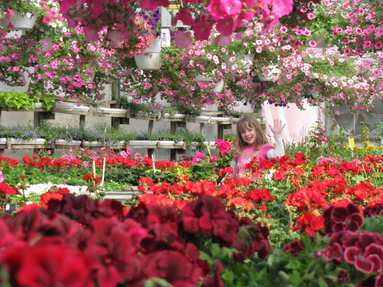 Samantha in our Greenhouses
