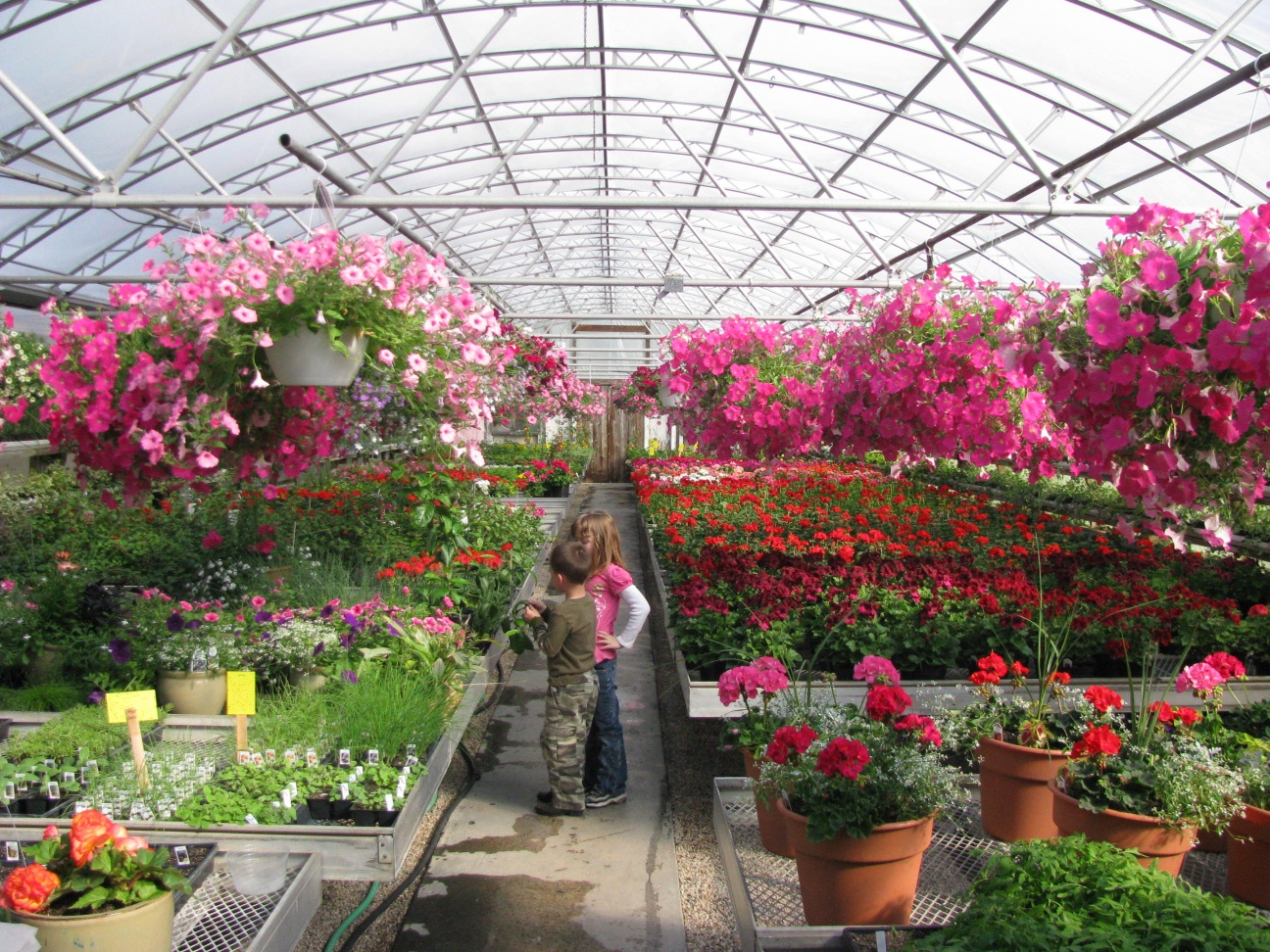 Greenhouse in Crivitz