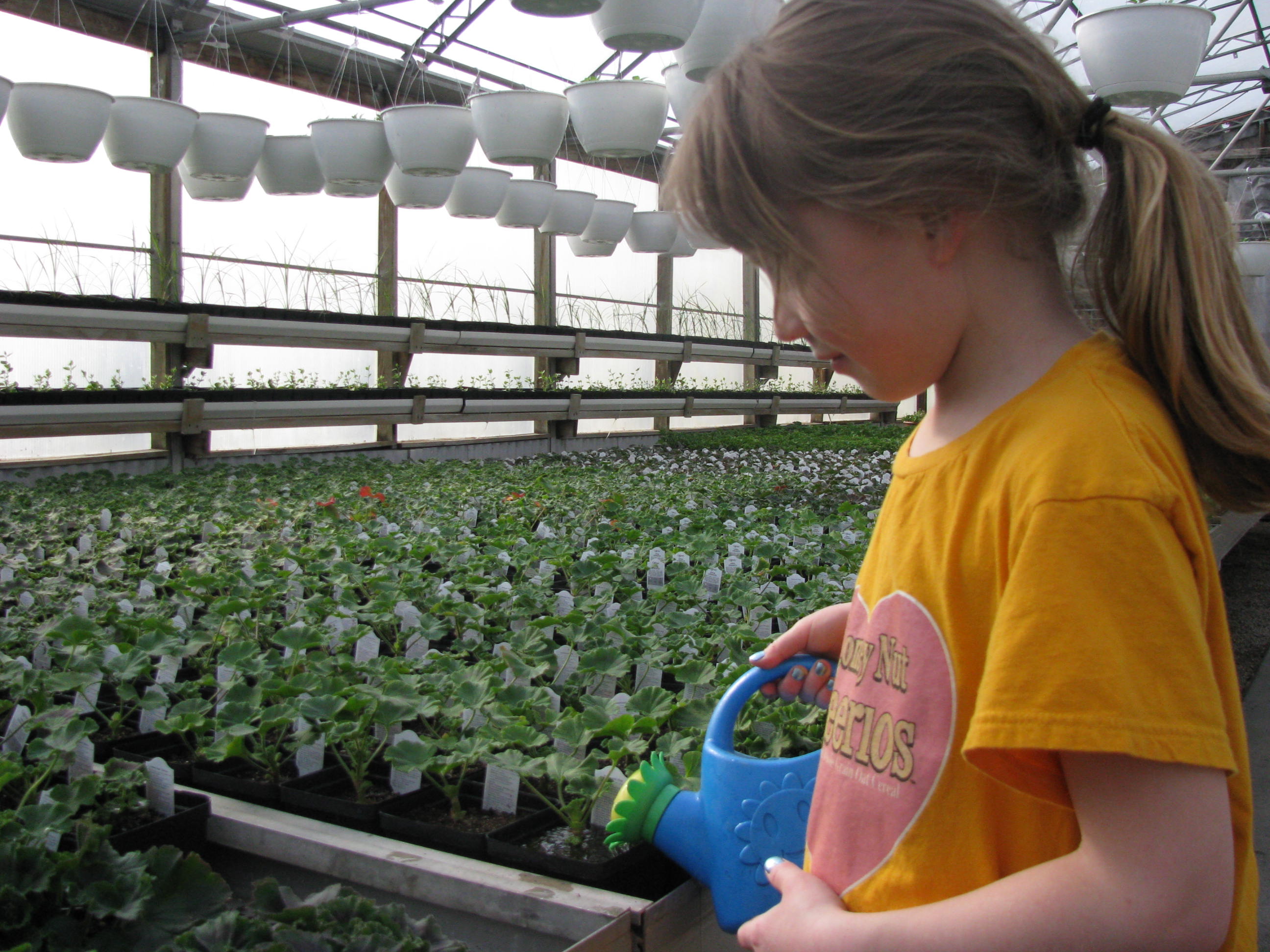 Samantha at Sharkey's Floral