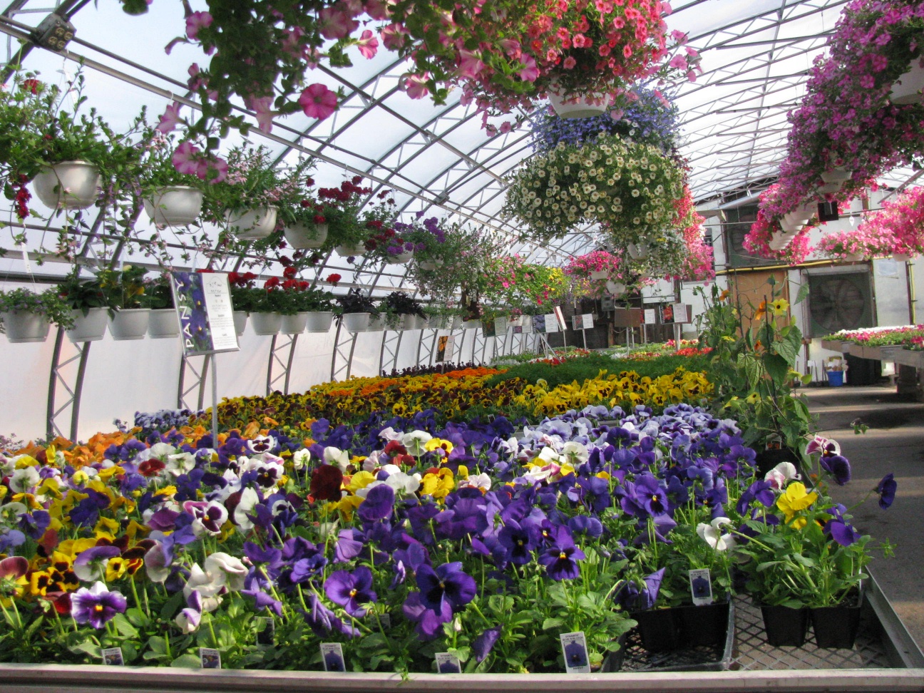 Sharkey's Floral