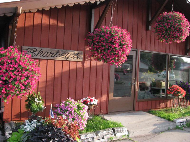 Sharkey's Hanging Baskets